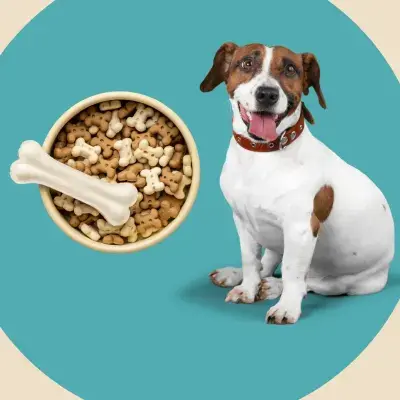 Category preview for Pet Food & Treats